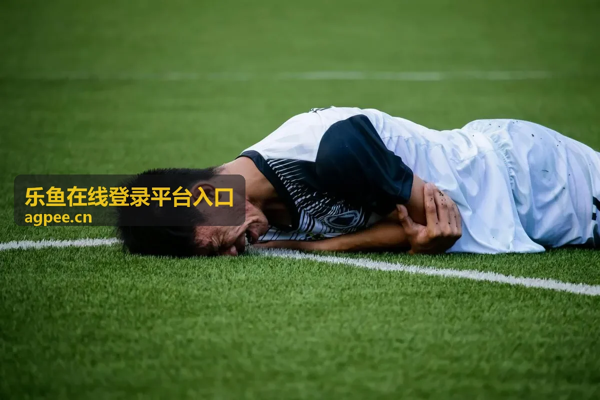 乐鱼在线登录平台入口账户安全资讯封面
